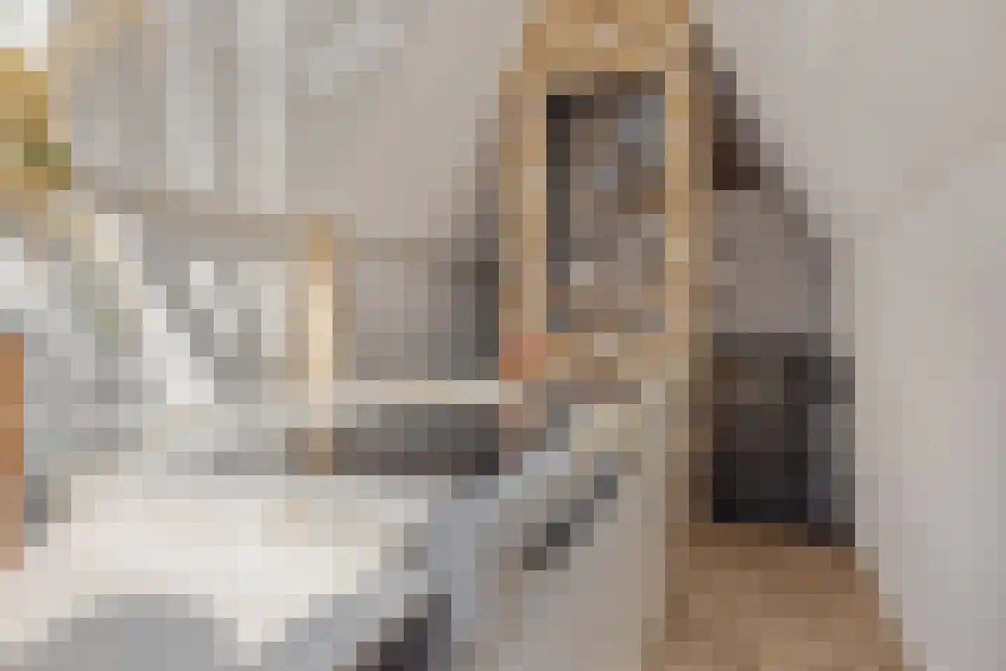 Hinthamerstraat 37 's-Hertogenbosch thumbnail 34