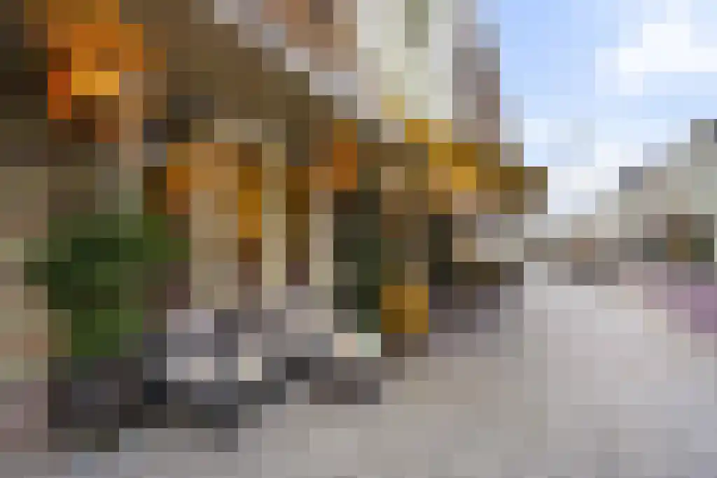 Hinthamerstraat 67 C 's-Hertogenbosch thumbnail 25