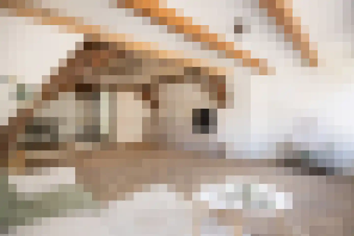 Hinthamerstraat 69 B 's-Hertogenbosch thumbnail 7