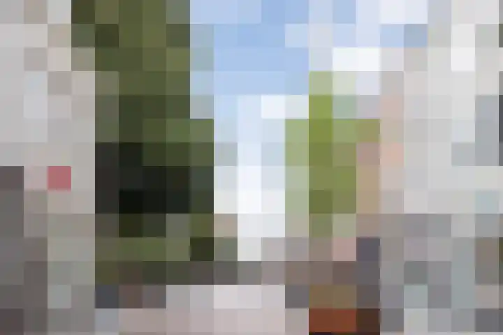 Hinthamerstraat 84 B 's-Hertogenbosch thumbnail 39