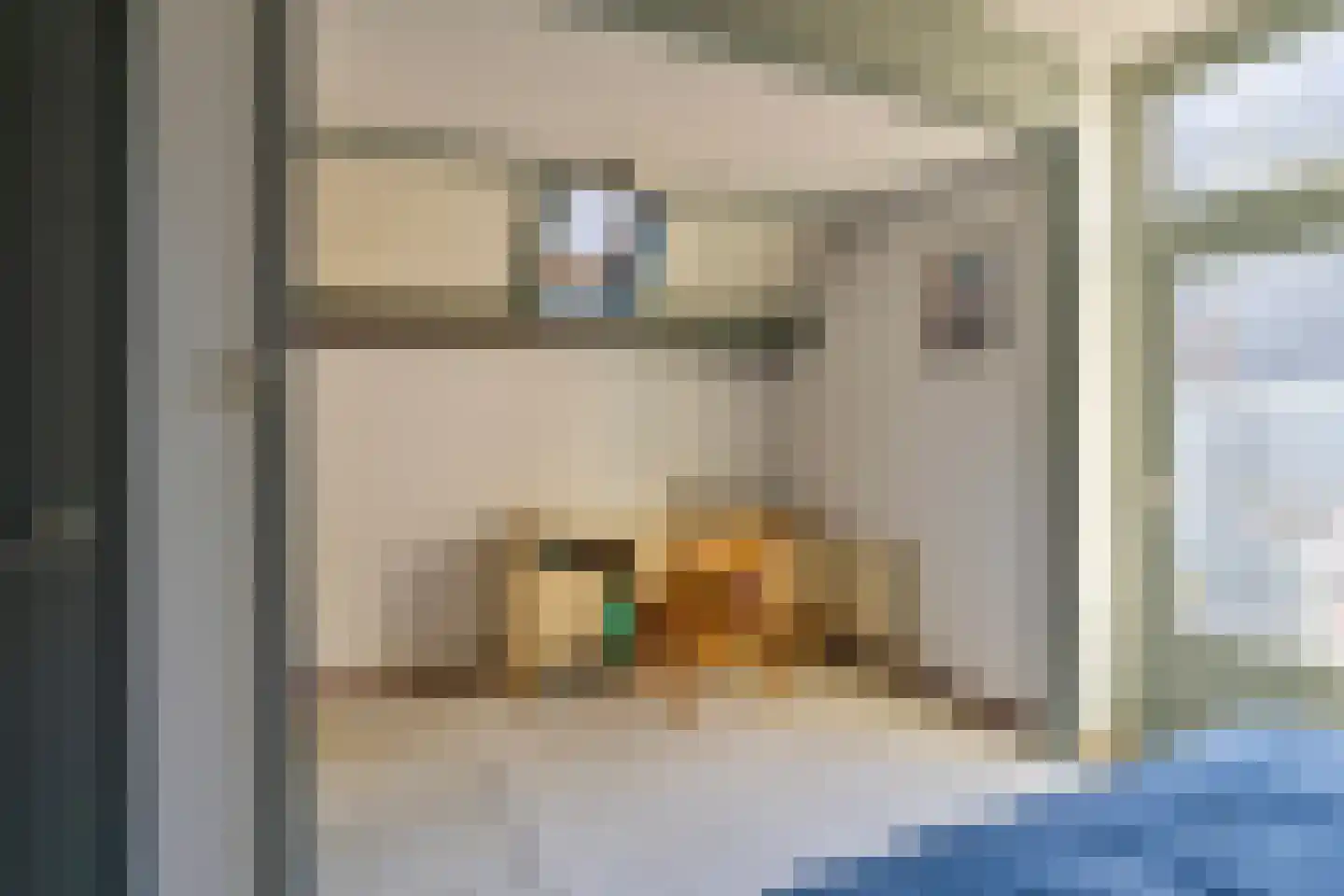 Hinthamerstraat 87 's-Hertogenbosch thumbnail 17