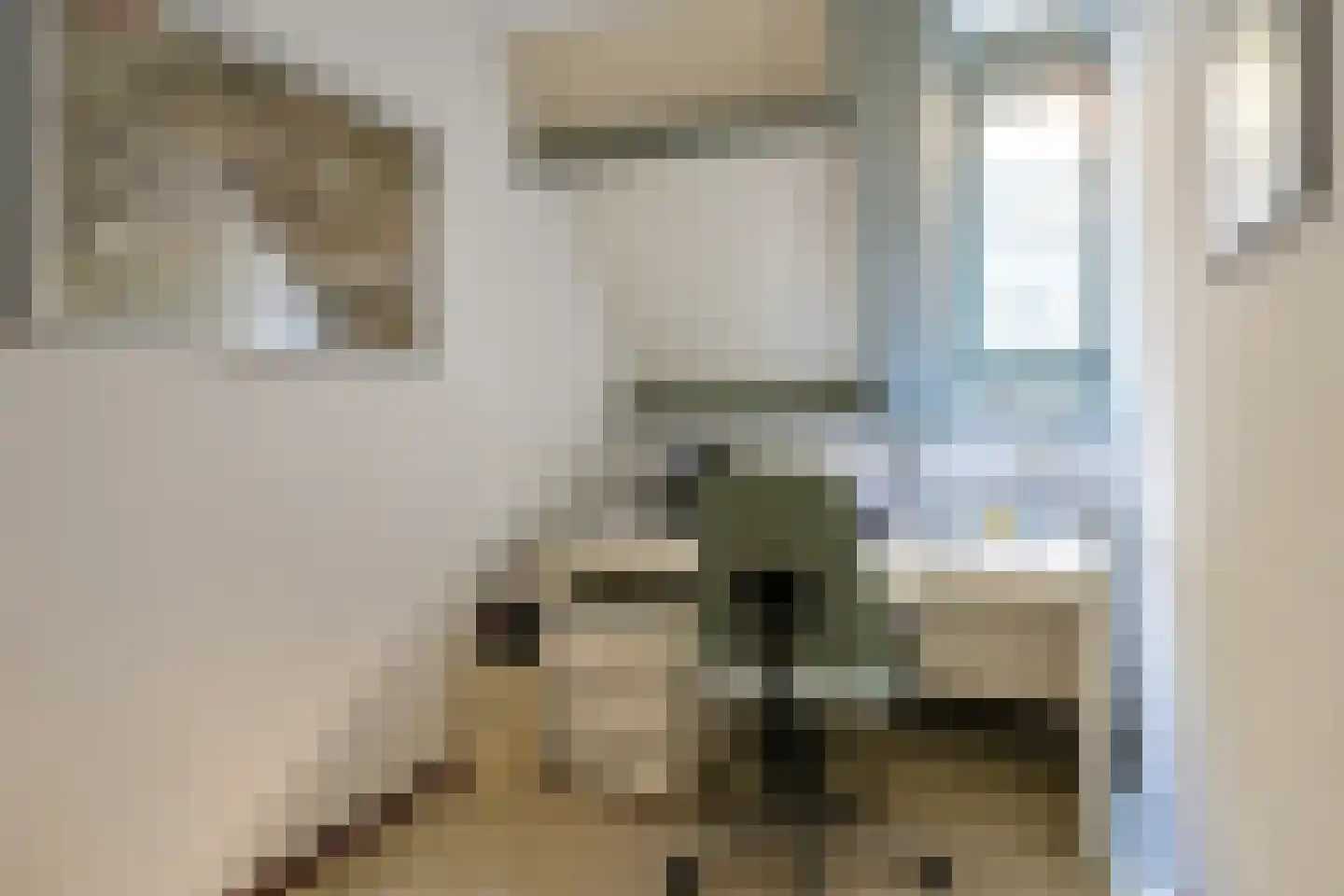 Hinthamerstraat 87 's-Hertogenbosch thumbnail 18