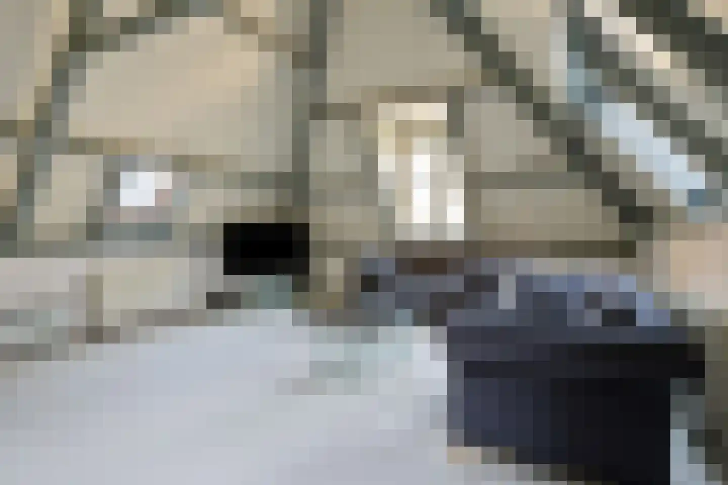 Hinthamerstraat 87 's-Hertogenbosch thumbnail 5
