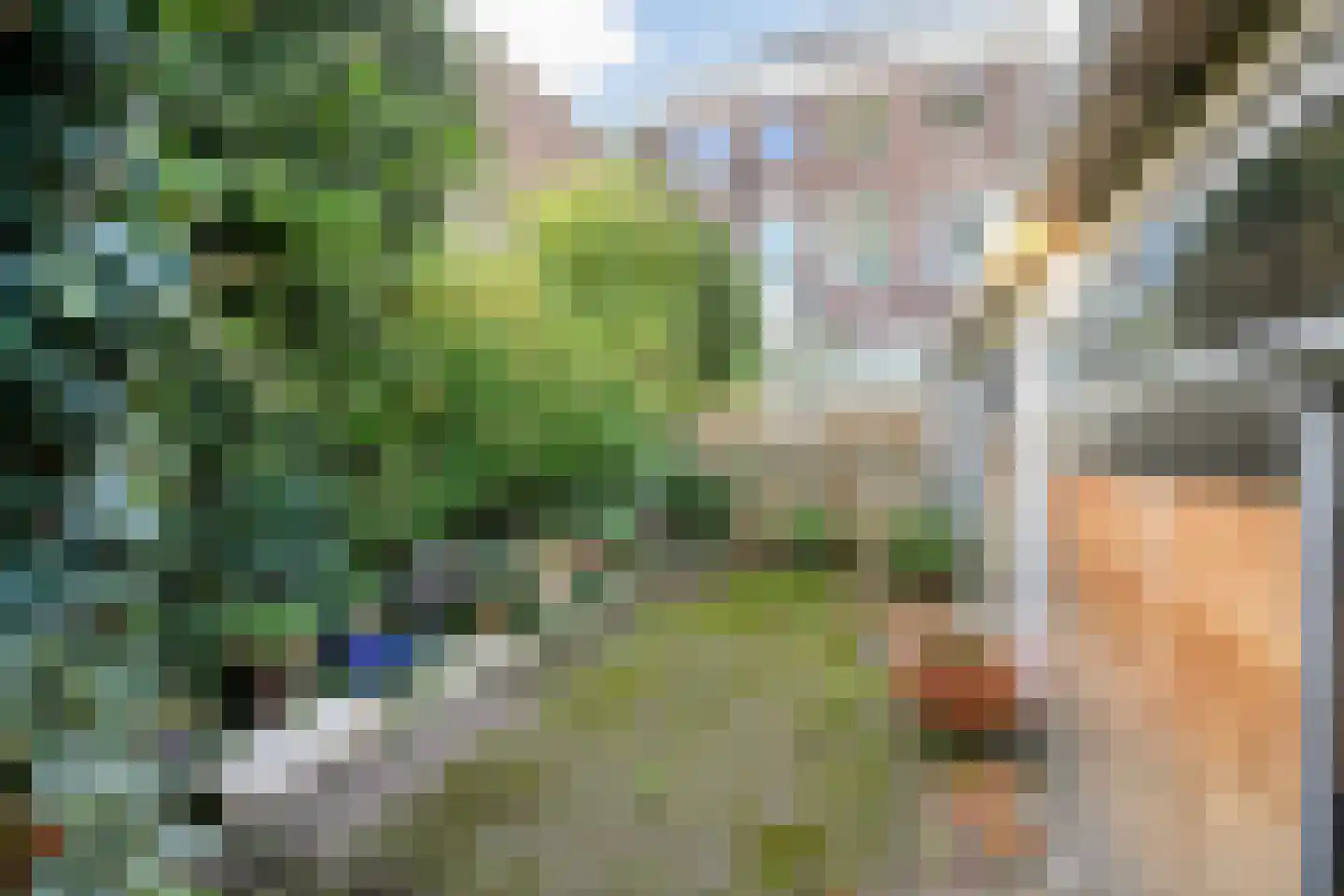 Hinthamerstraat 92 C 's-Hertogenbosch thumbnail 31