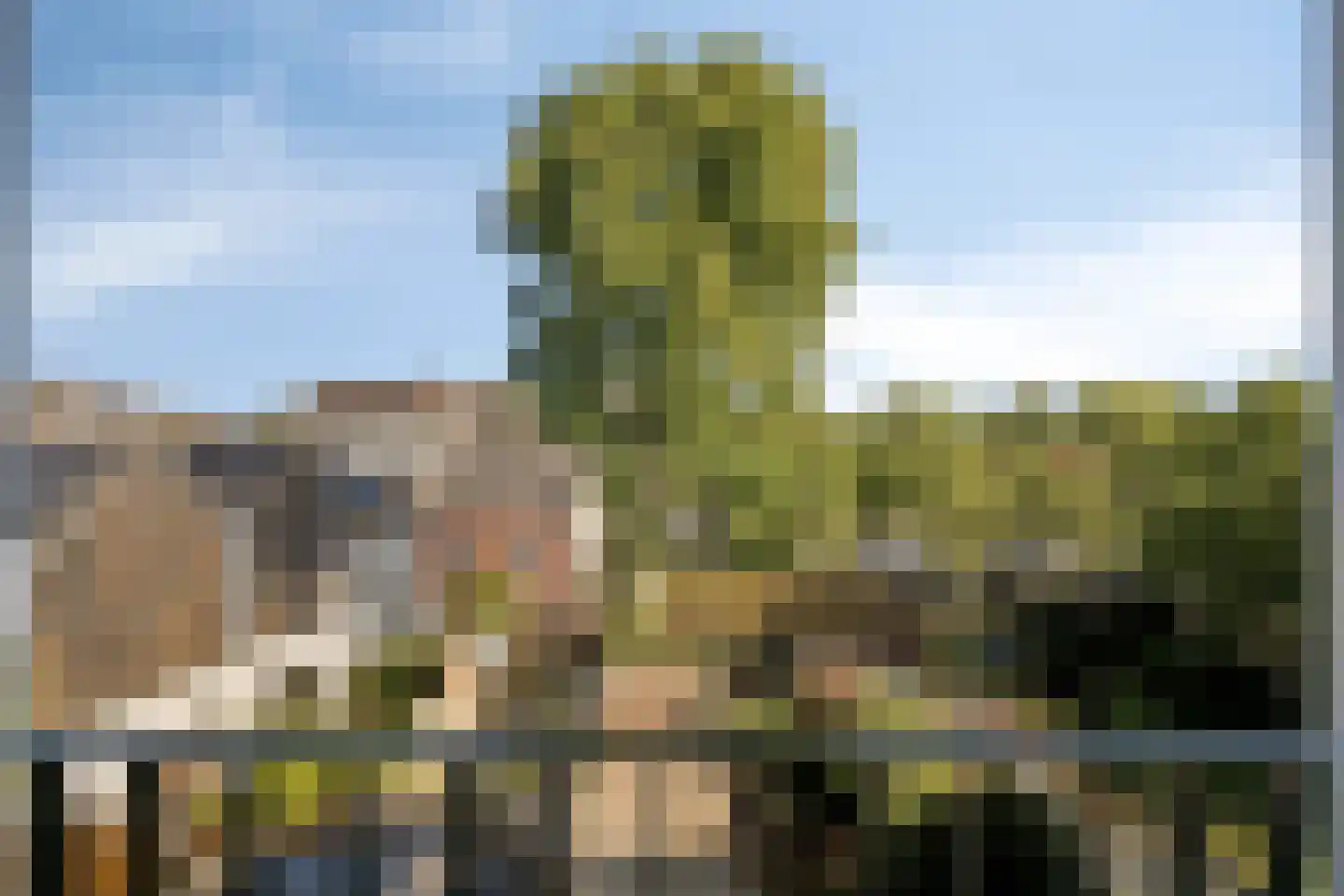 Hinthamerstraat 92 D 's-Hertogenbosch thumbnail 18