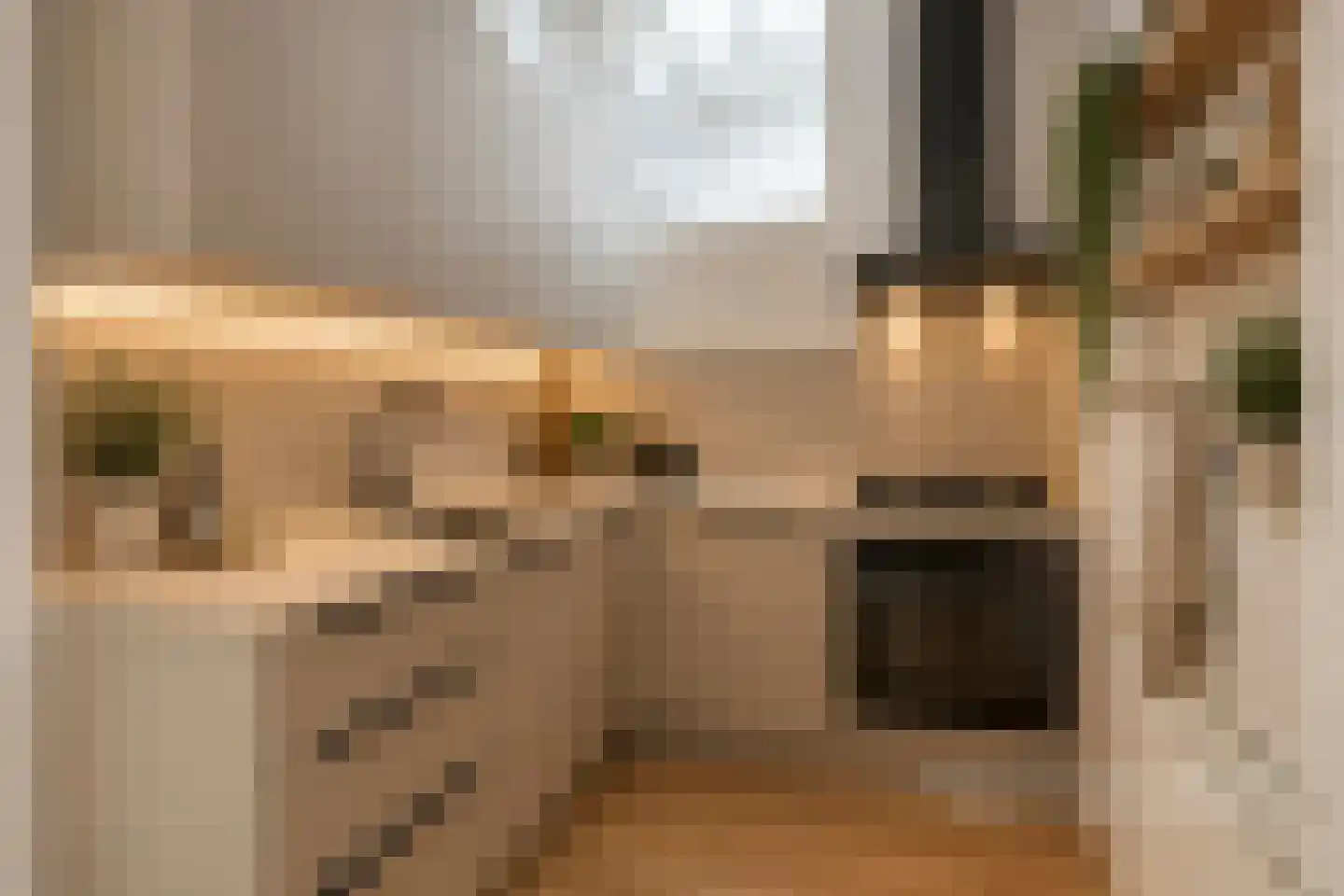 Hinthamerstraat 92 E 's-Hertogenbosch thumbnail 14
