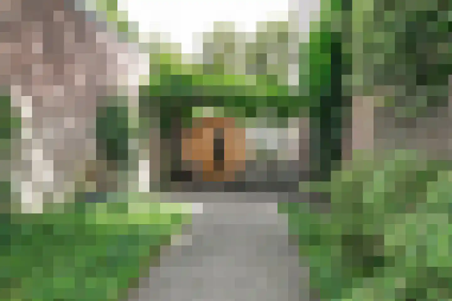 Hinthamerstraat 98 A 's-Hertogenbosch thumbnail 23
