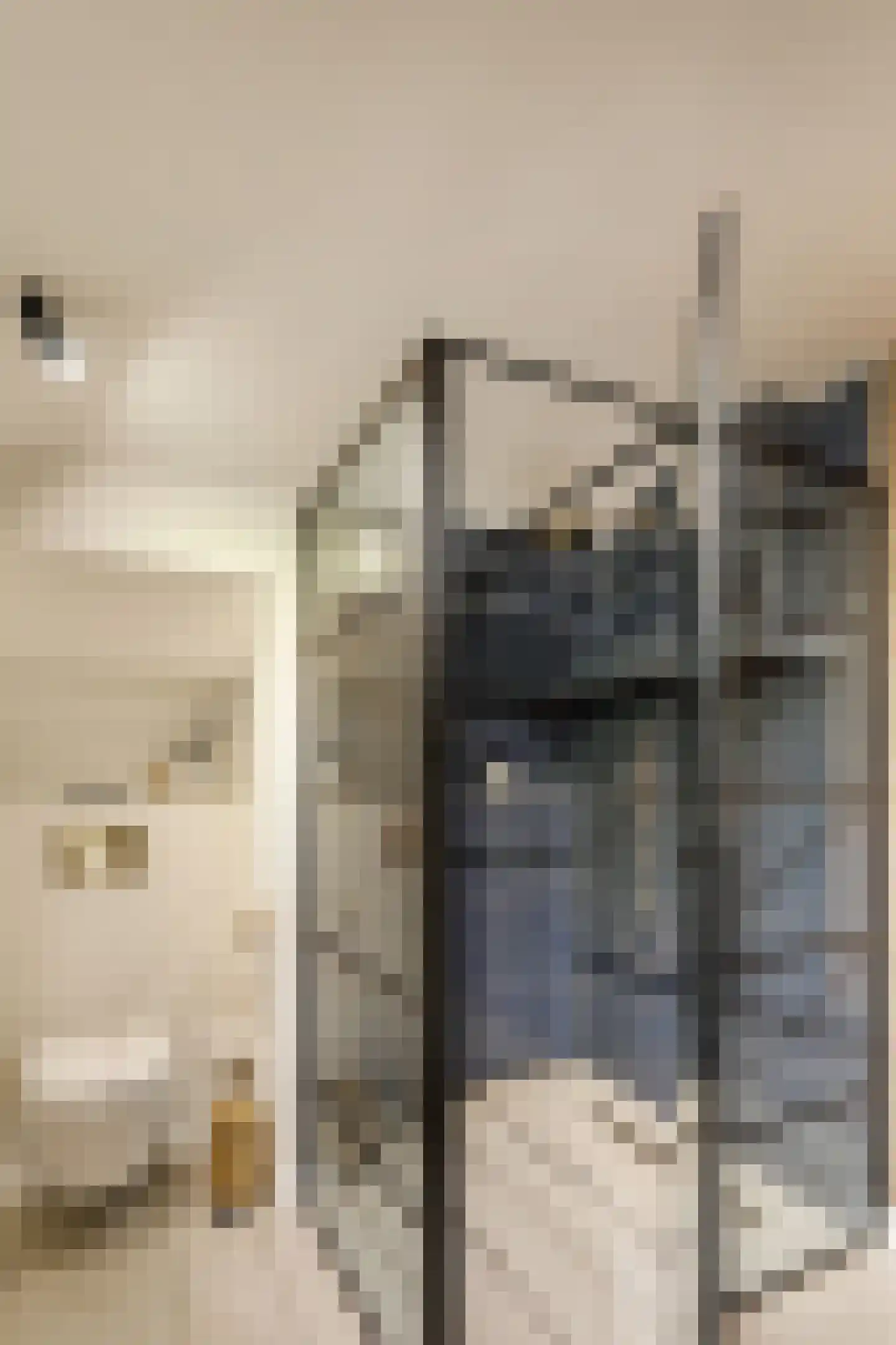 Hinthamerstraat 98 A 's-Hertogenbosch thumbnail 31