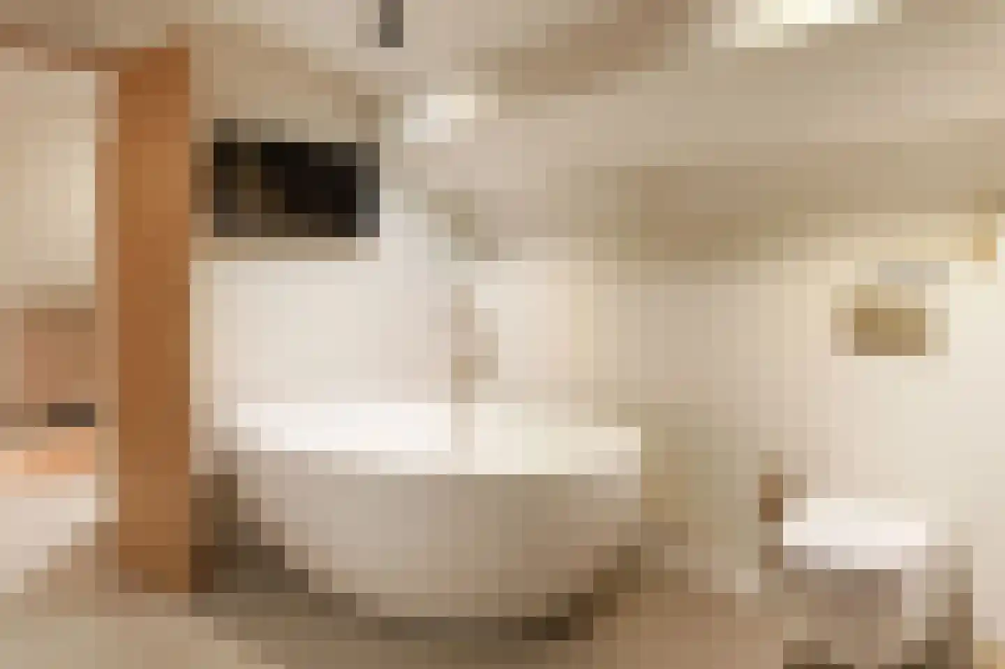 Hinthamerstraat 98 A 's-Hertogenbosch thumbnail 32