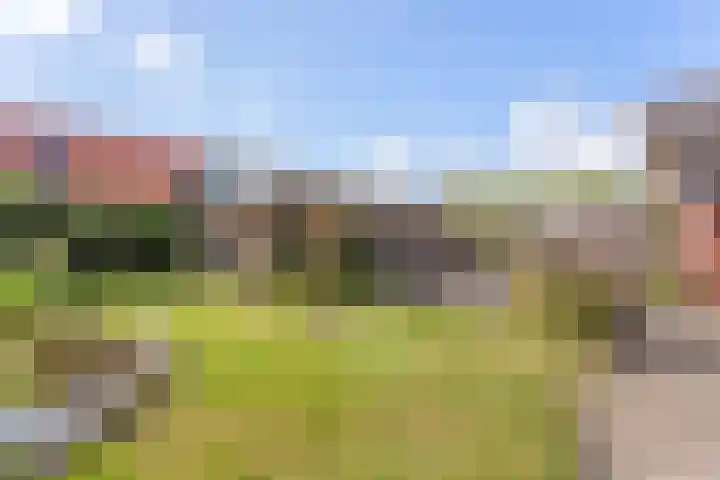 Hinvertsweg 18 Albergen thumbnail 17