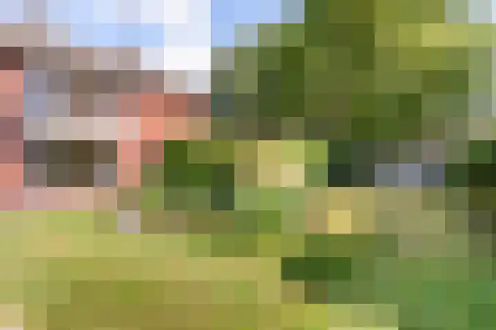 Hinvertsweg 18 Albergen thumbnail 19
