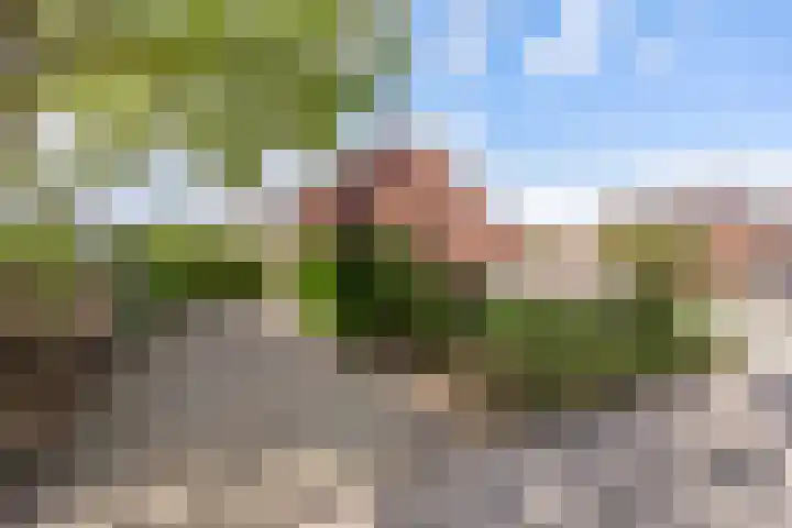 Hinvertsweg 18 Albergen thumbnail 20