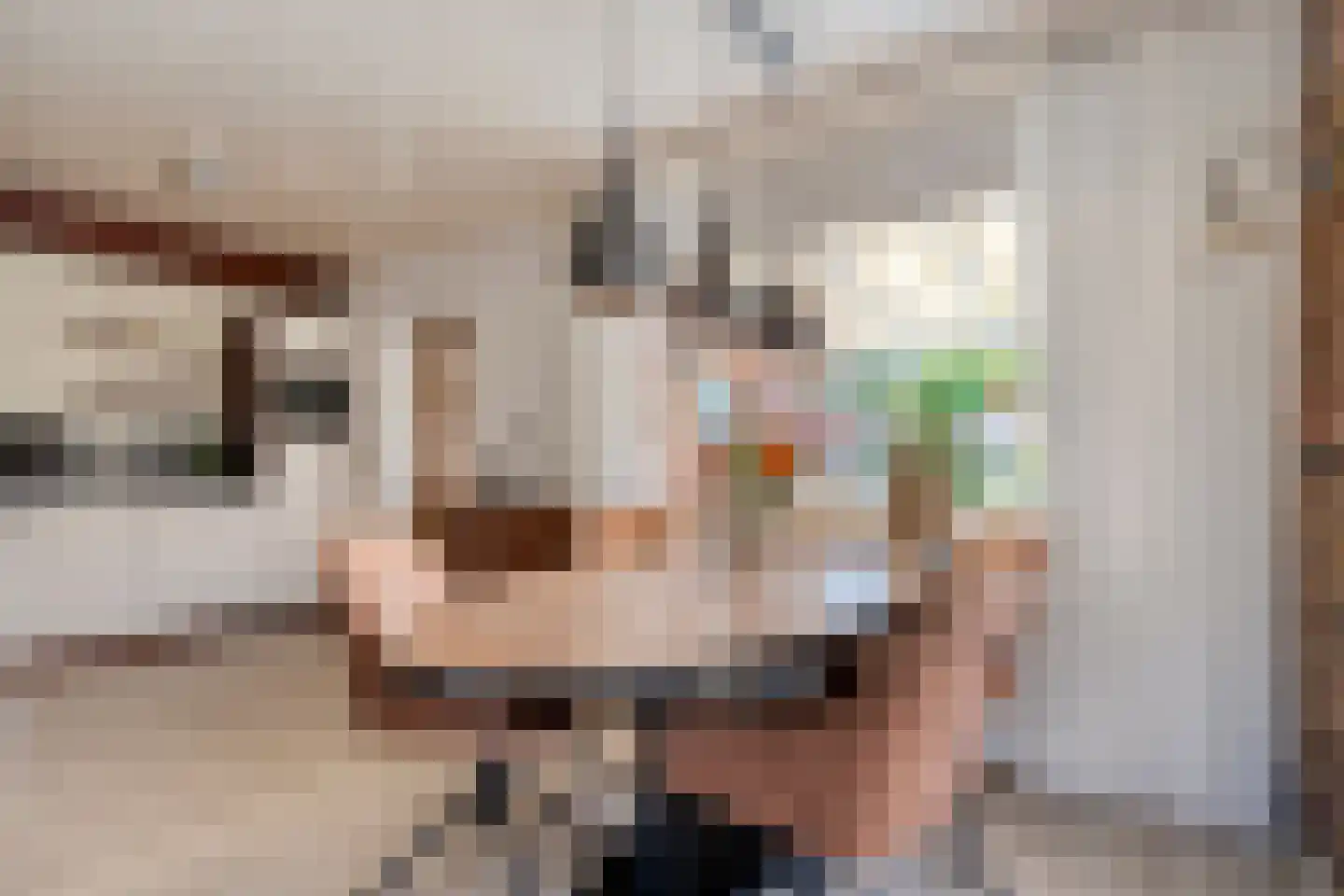 Hinvertsweg 5 Albergen thumbnail 10