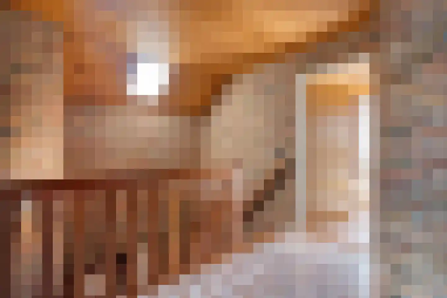 Hinvertsweg 5 Albergen thumbnail 14