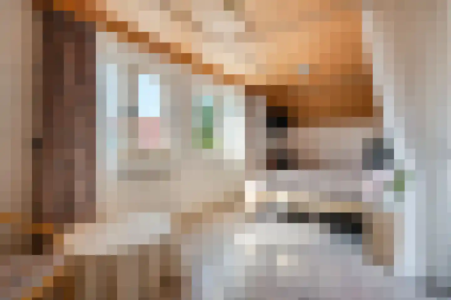 Hinvertsweg 5 Albergen thumbnail 15