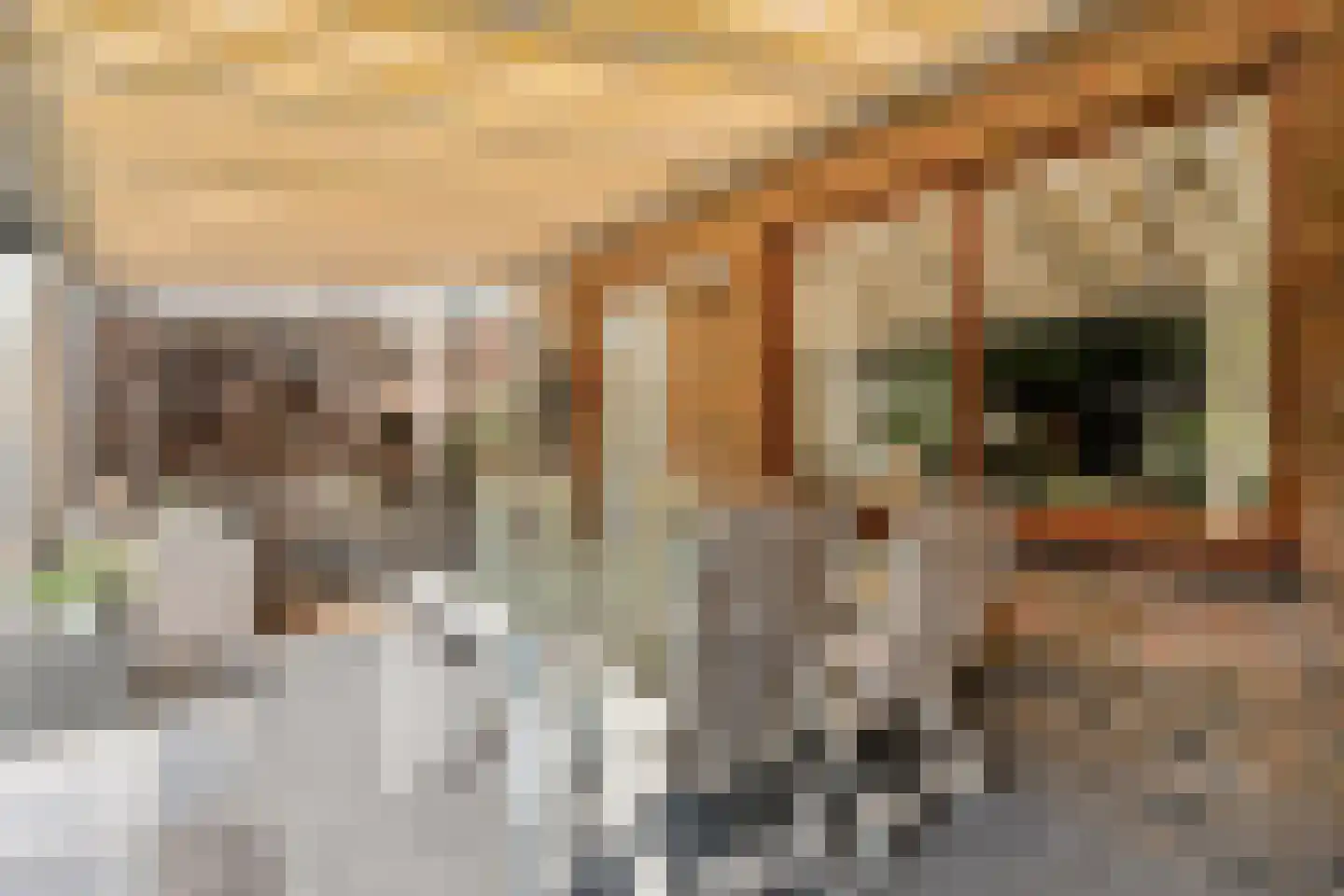 Hinvertsweg 5 Albergen thumbnail 23