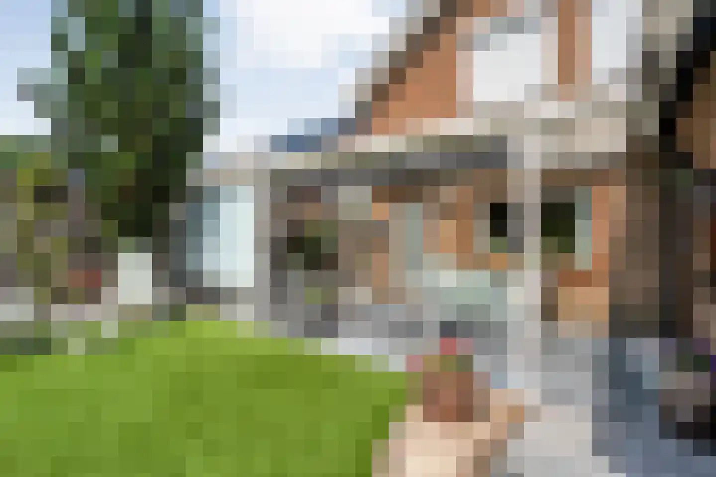 Hinvertsweg 5 Albergen thumbnail 25