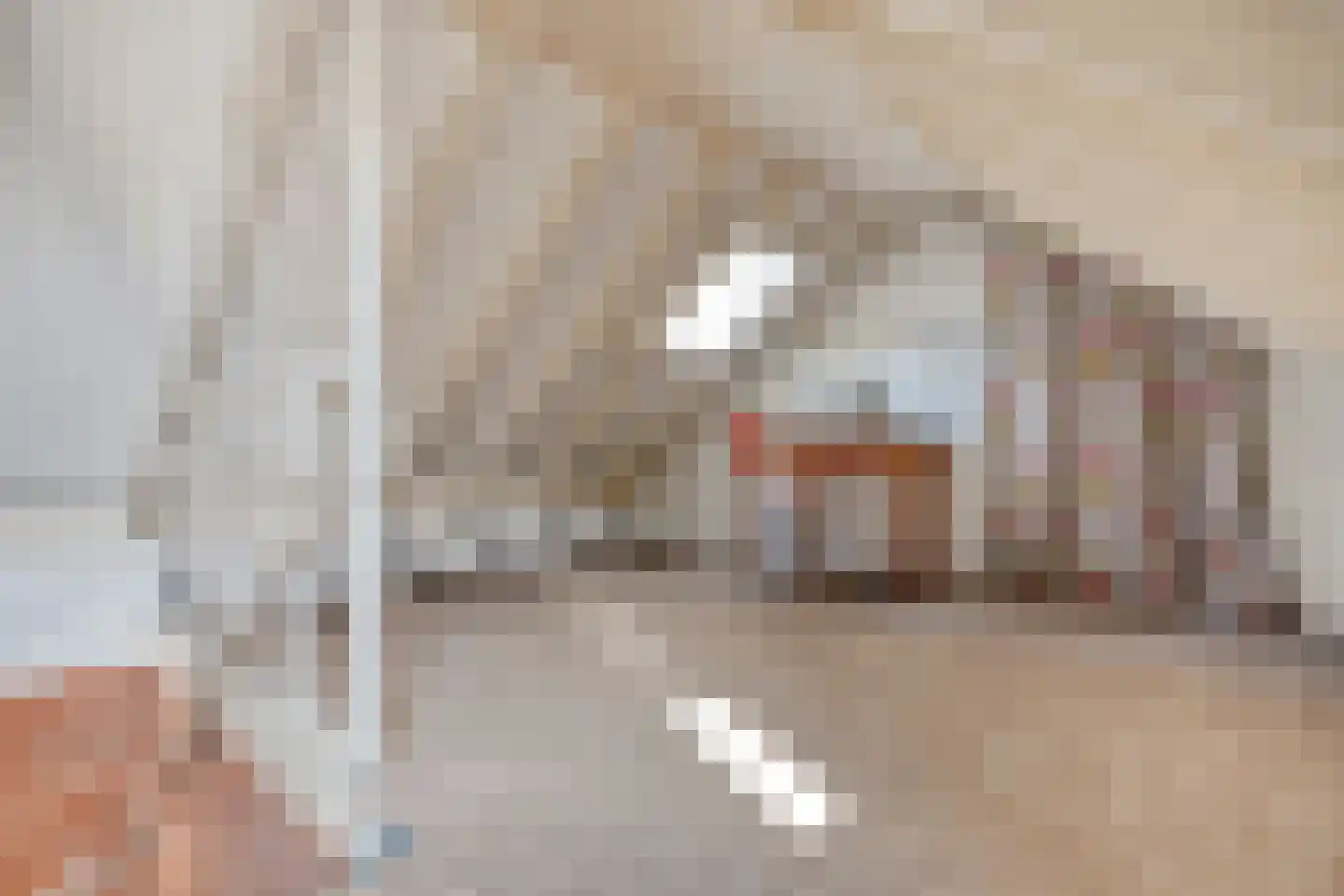 Hinvertsweg 5 Albergen thumbnail 27