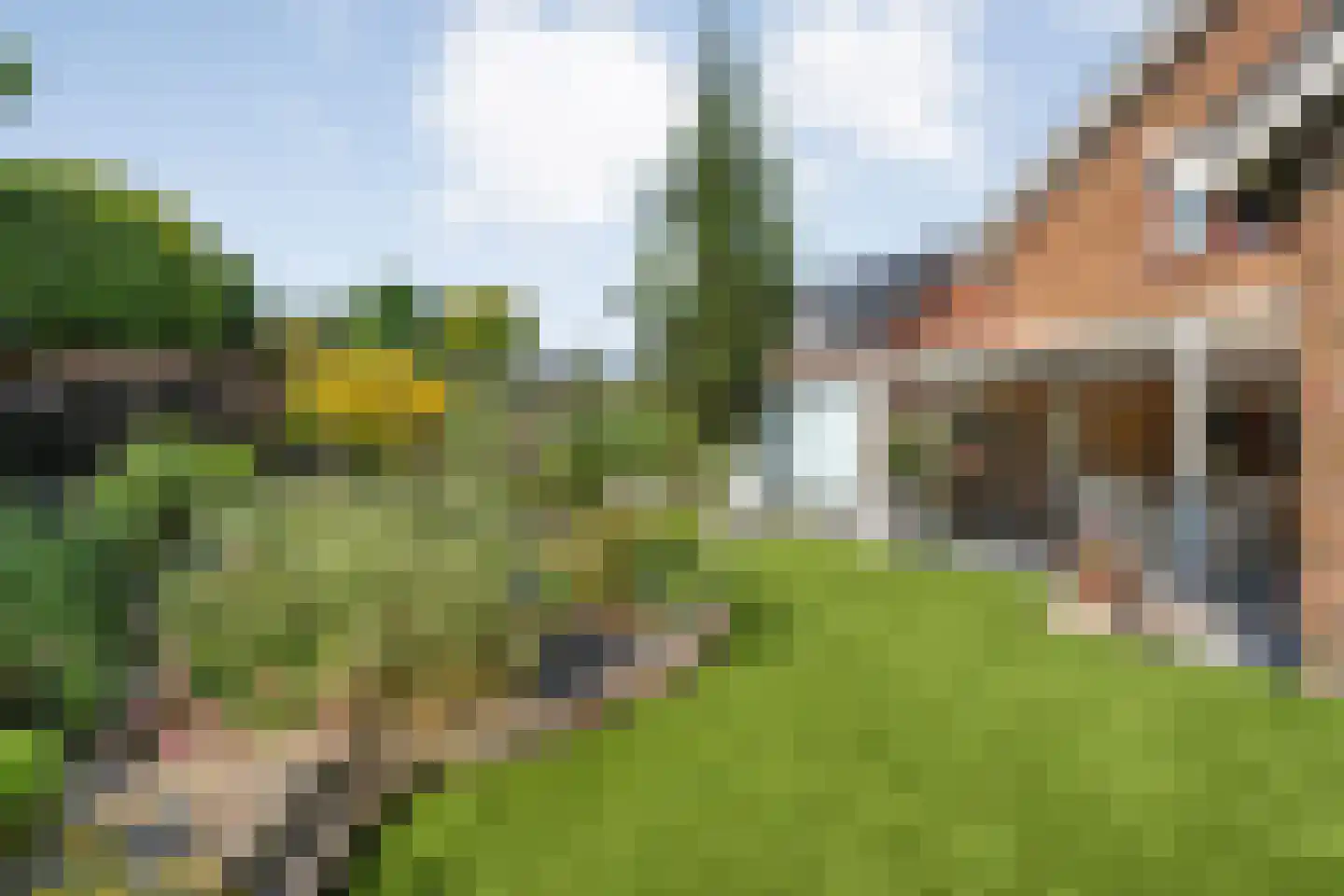 Hinvertsweg 5 Albergen thumbnail 28