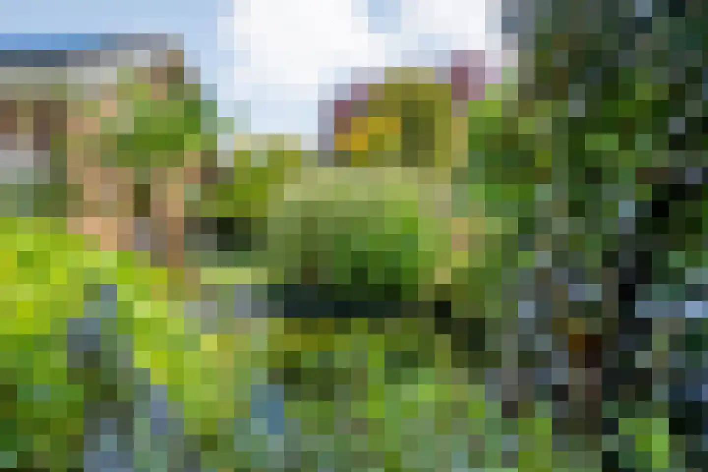 Hinvertsweg 5 Albergen thumbnail 29
