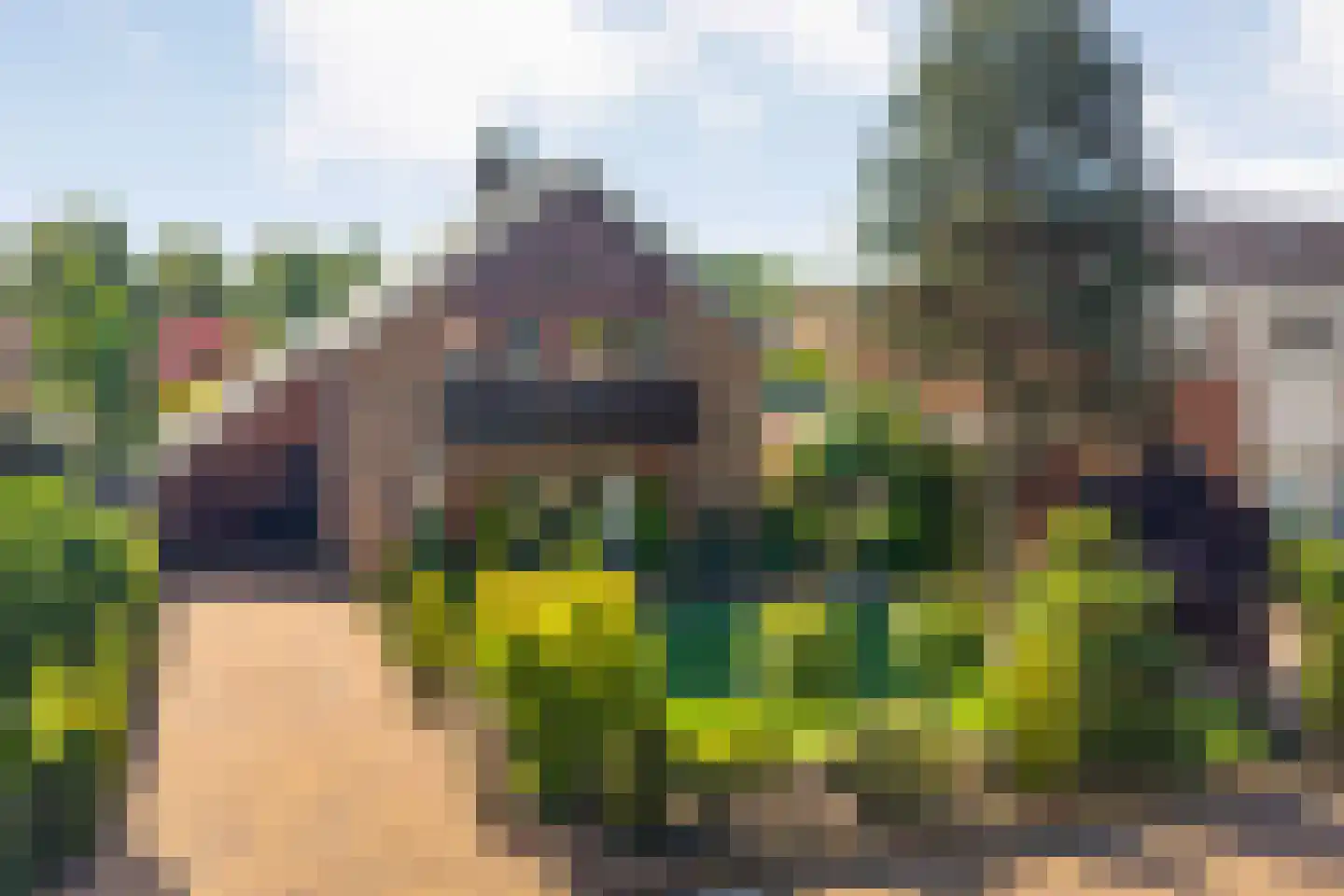 Hinvertsweg 5 Albergen thumbnail 31