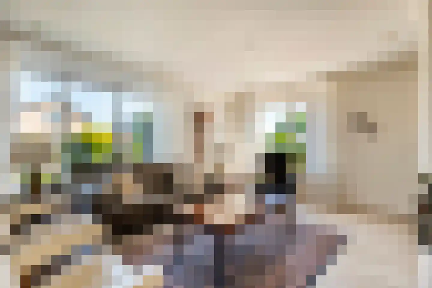 Hinvertsweg 5 Albergen thumbnail 6