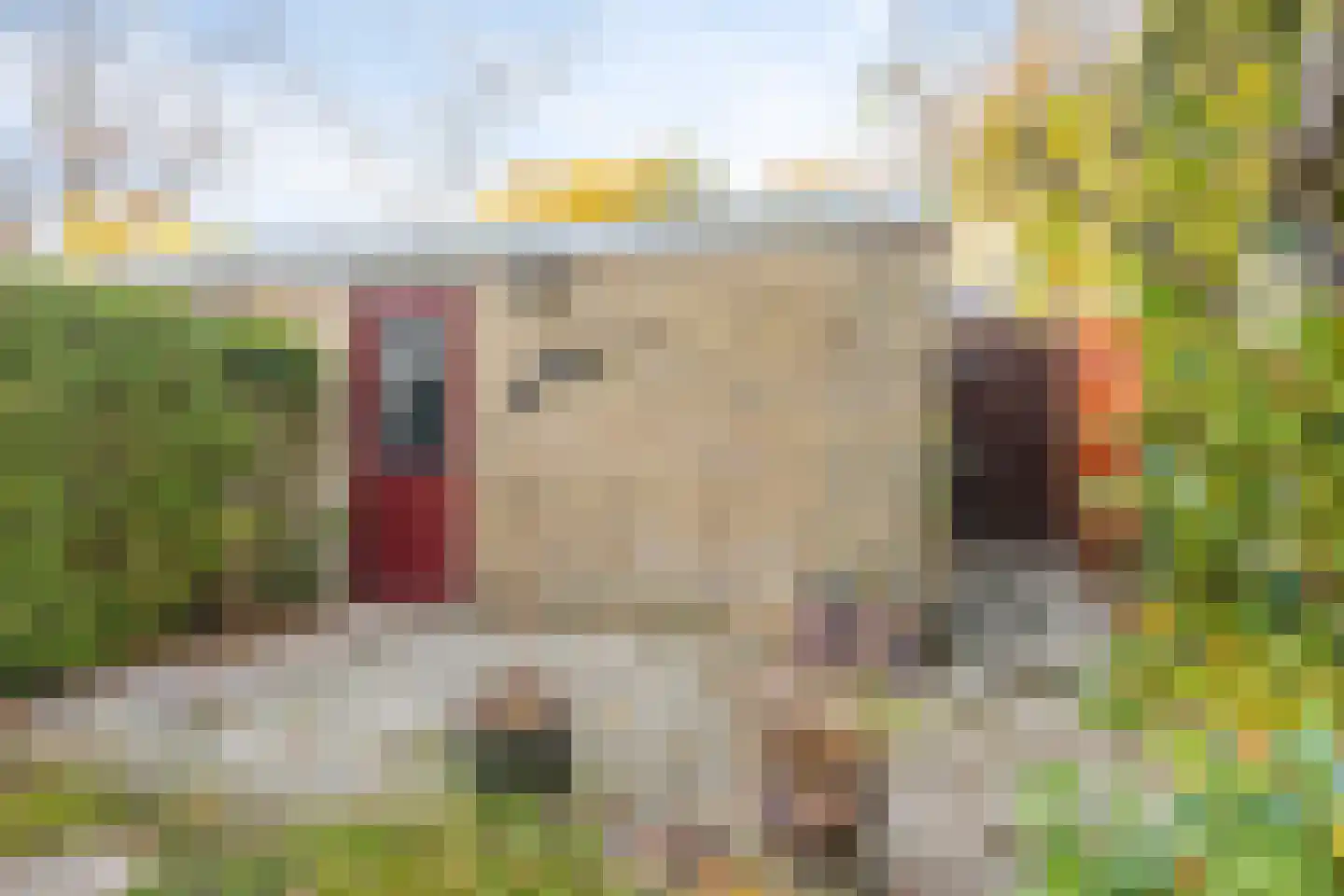 Hippocrateslaan 14 Bergen op Zoom thumbnail 34