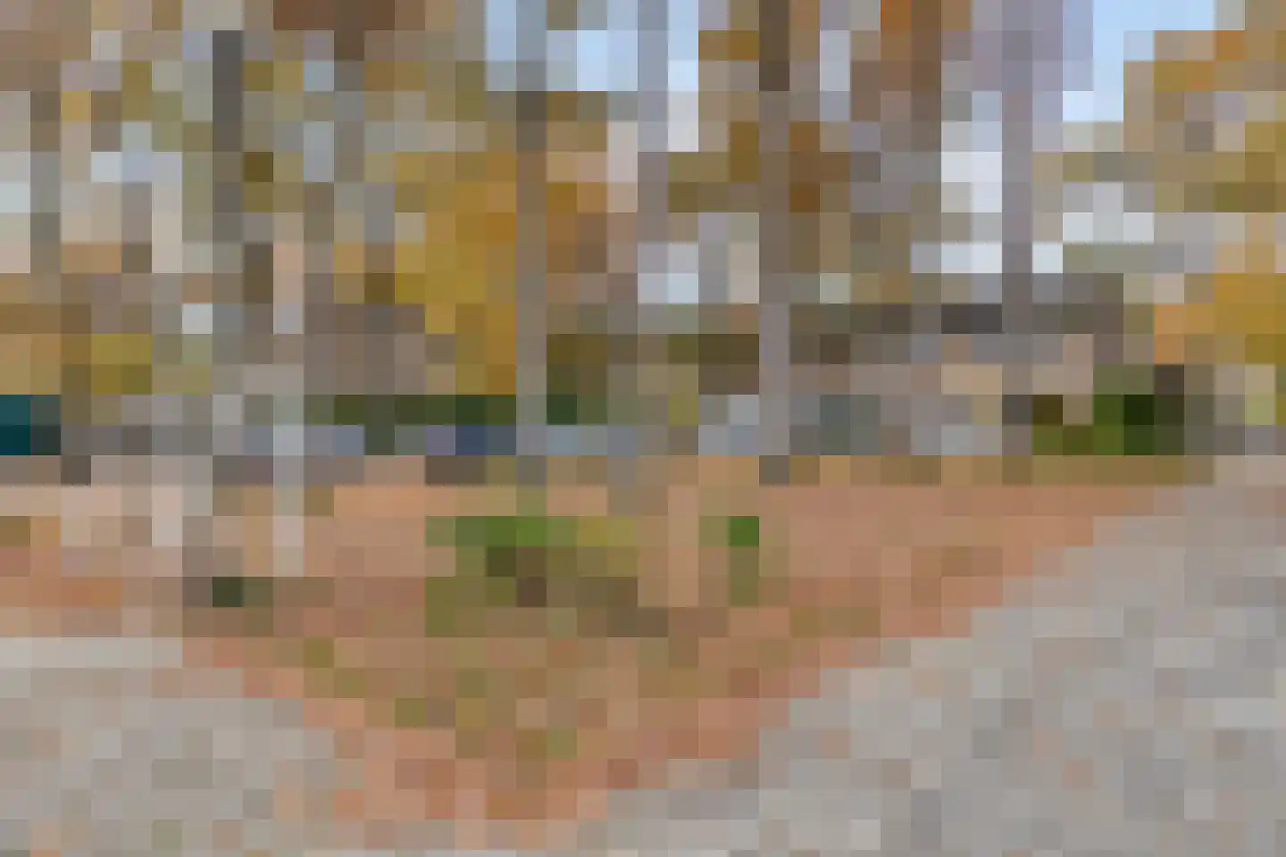 Hippocrateslaan 14 Bergen op Zoom thumbnail 44