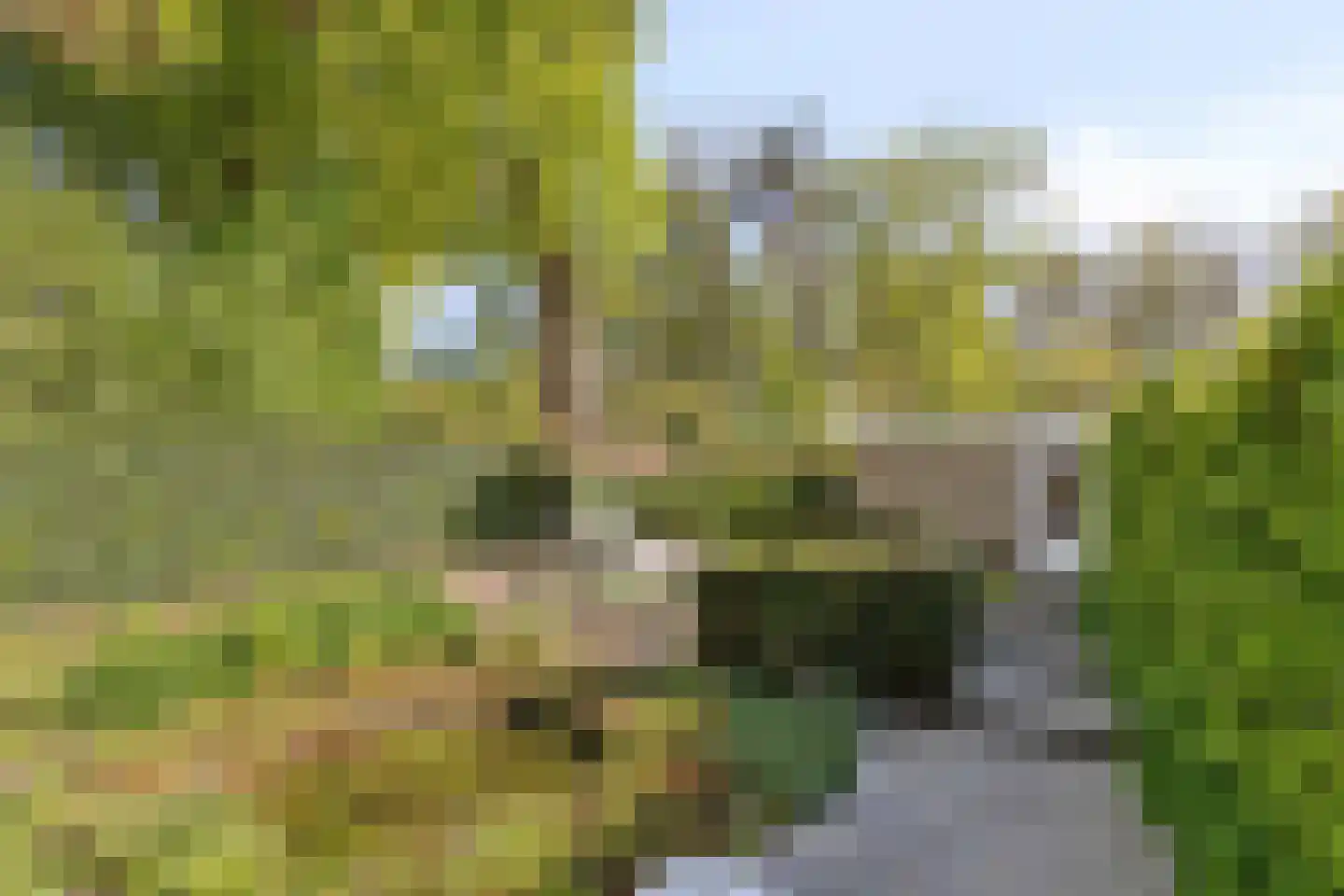 Hippocrateslaan 17 Bergen op Zoom thumbnail 36