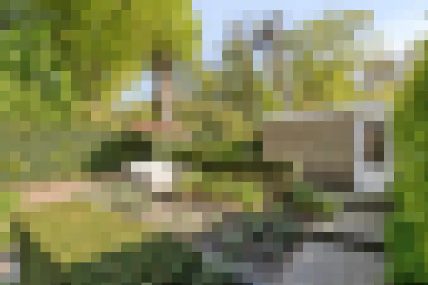Hippocrateslaan 17 Bergen op Zoom thumbnail 37