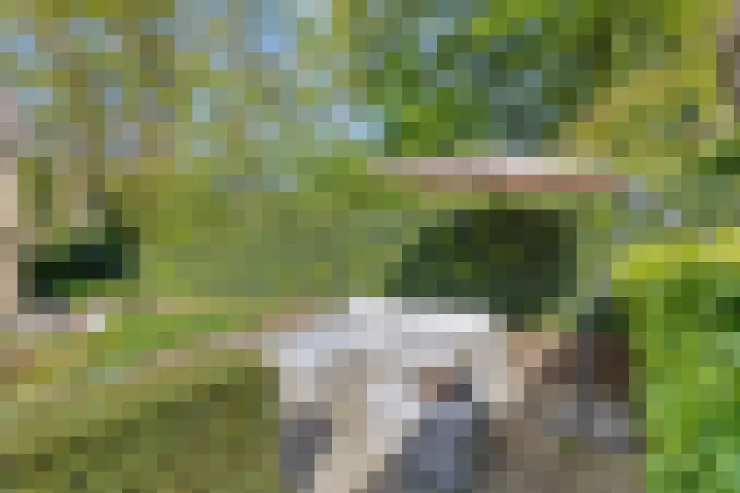 Hippocrateslaan 17 Bergen op Zoom thumbnail 38