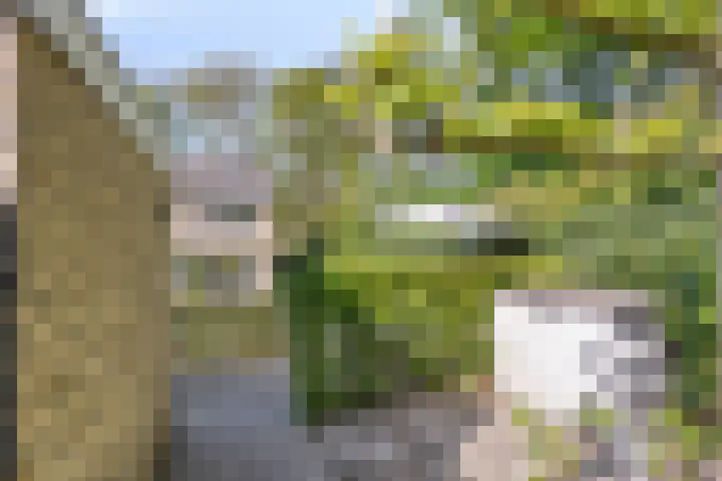 Hippocrateslaan 17 Bergen op Zoom thumbnail 42