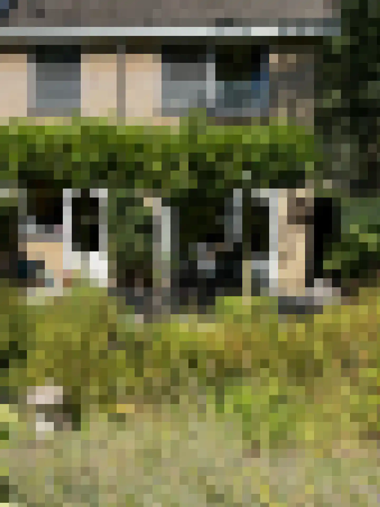 Hippocrateslaan 17 Bergen op Zoom thumbnail 44