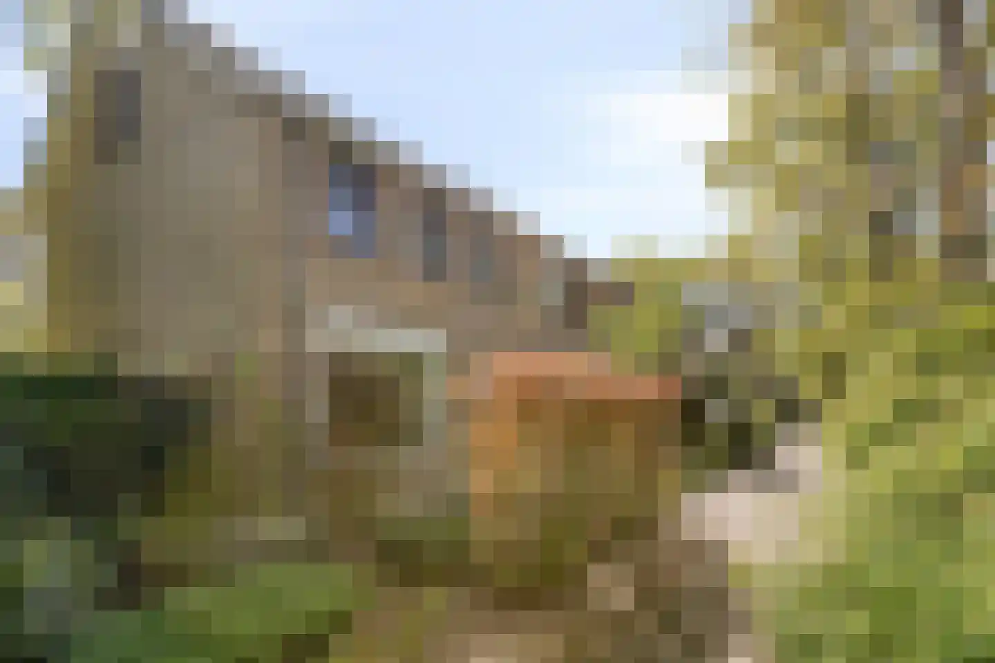 Hippocrateslaan 17 Bergen op Zoom thumbnail 54