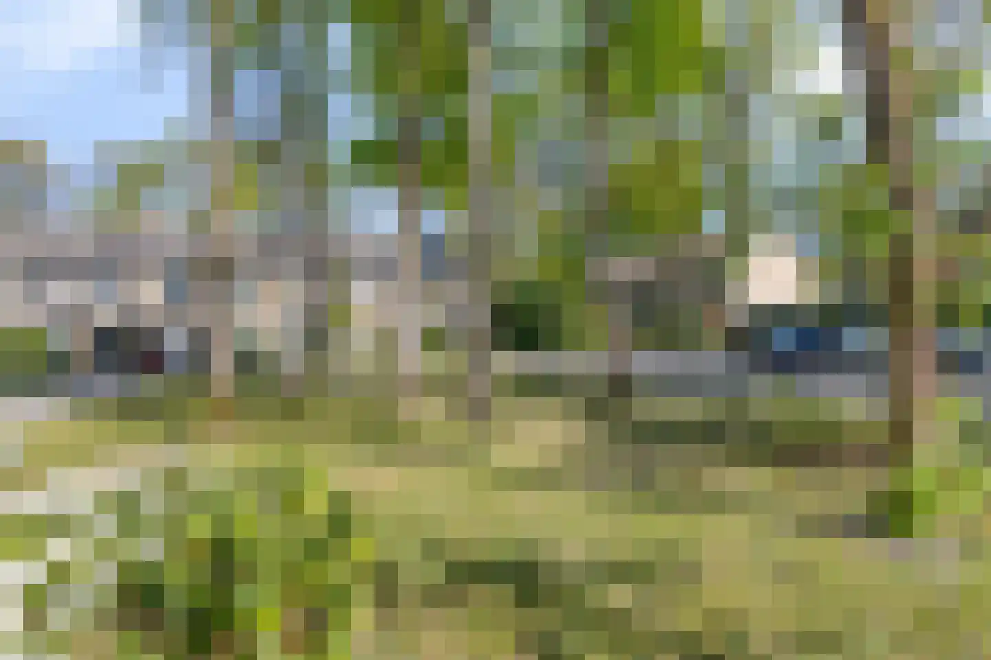 Hippocrateslaan 17 Bergen op Zoom thumbnail 57