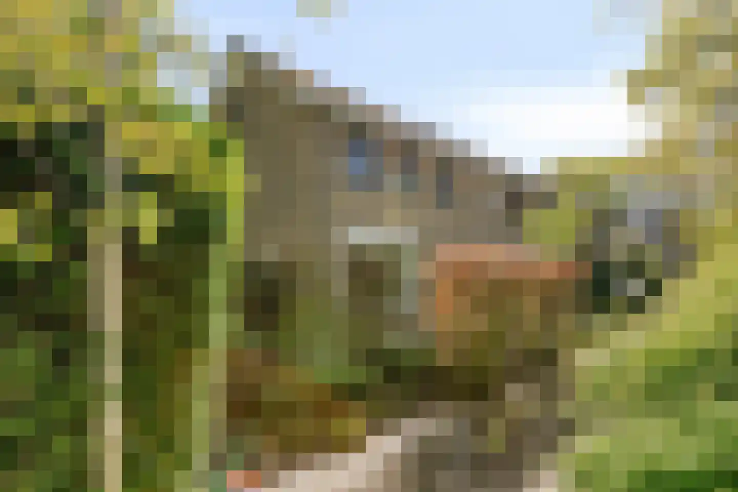 Hippocrateslaan 17 Bergen op Zoom thumbnail 6