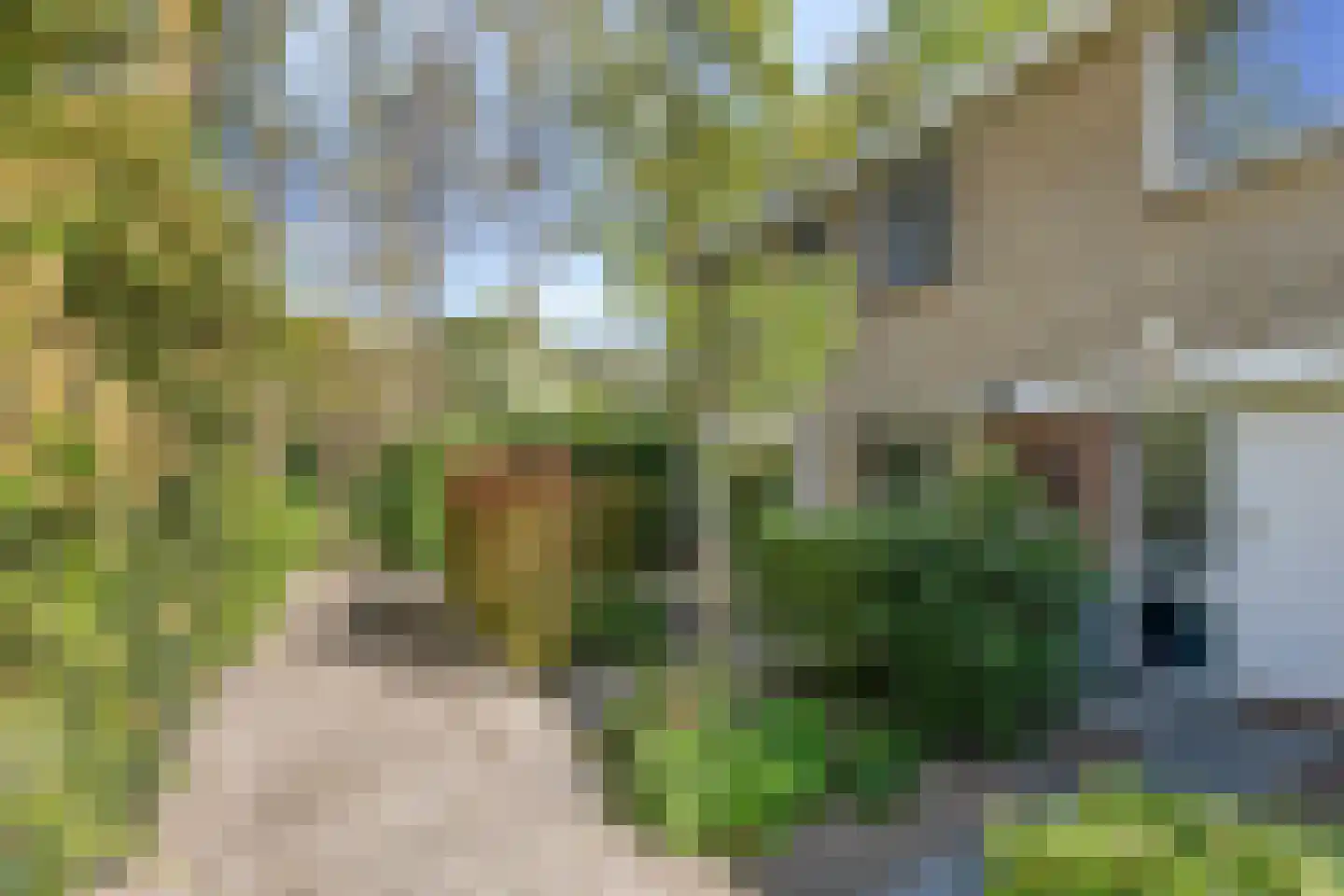 Hippocrateslaan 17 Bergen op Zoom thumbnail 7