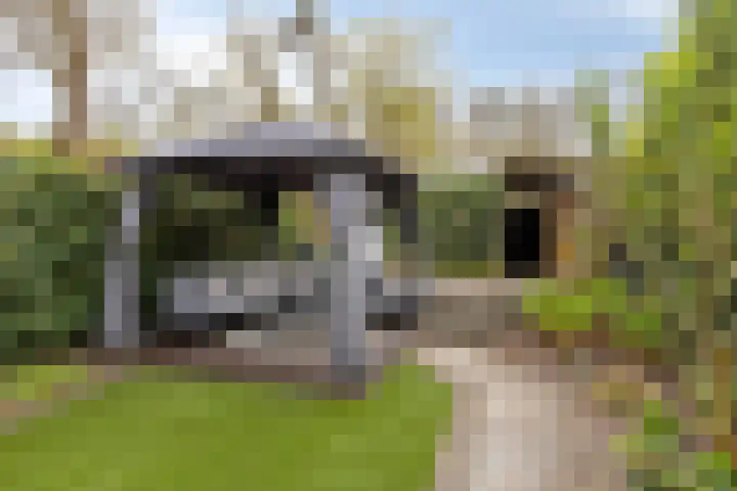 Hippocrateslaan 19 Bergen op Zoom thumbnail 28