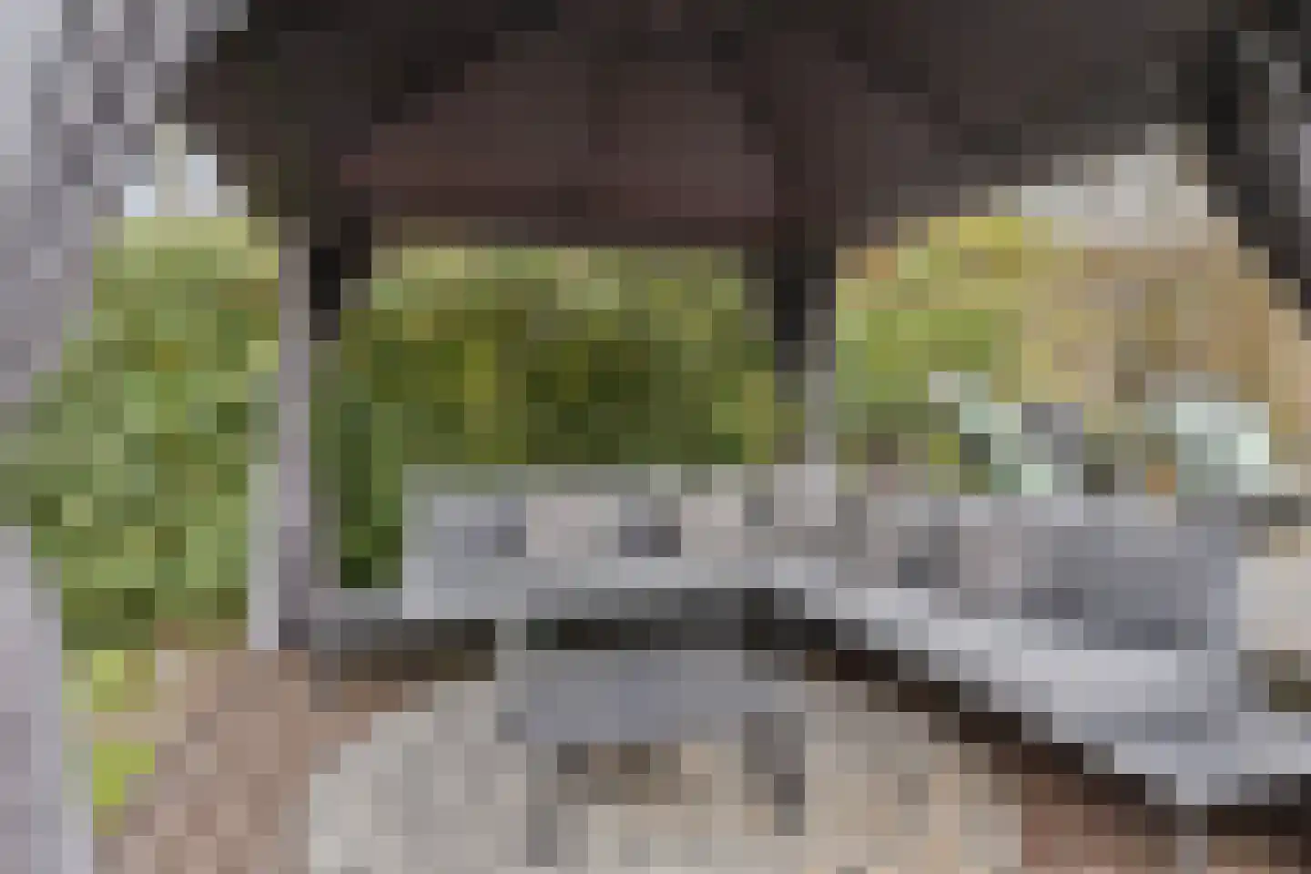 Hippocrateslaan 19 Bergen op Zoom thumbnail 30