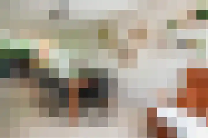 Hippocrateslaan 2 Bergen op Zoom thumbnail 12