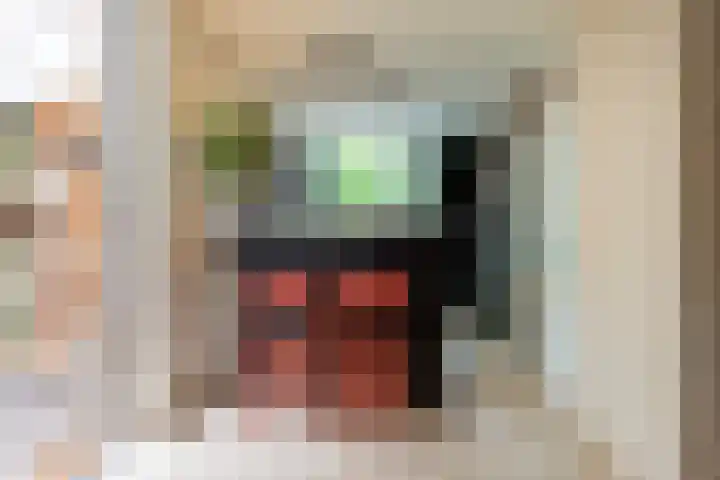 Hippocrateslaan 2 Bergen op Zoom thumbnail 14