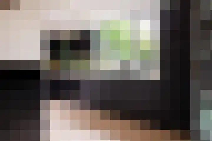Hippocrateslaan 2 Bergen op Zoom thumbnail 15