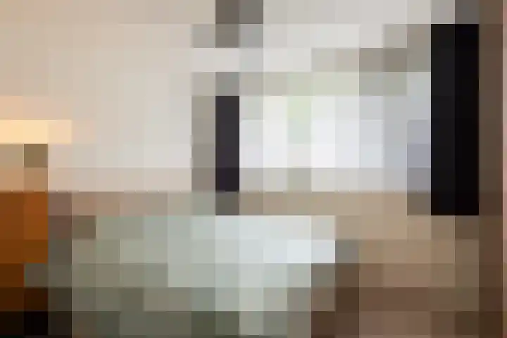 Hippocrateslaan 2 Bergen op Zoom thumbnail 20