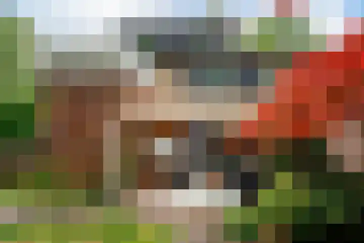 Hippocrateslaan 2 Bergen op Zoom thumbnail 33