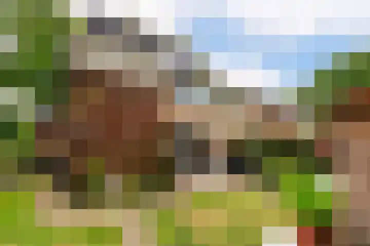 Hippocrateslaan 2 Bergen op Zoom thumbnail 34
