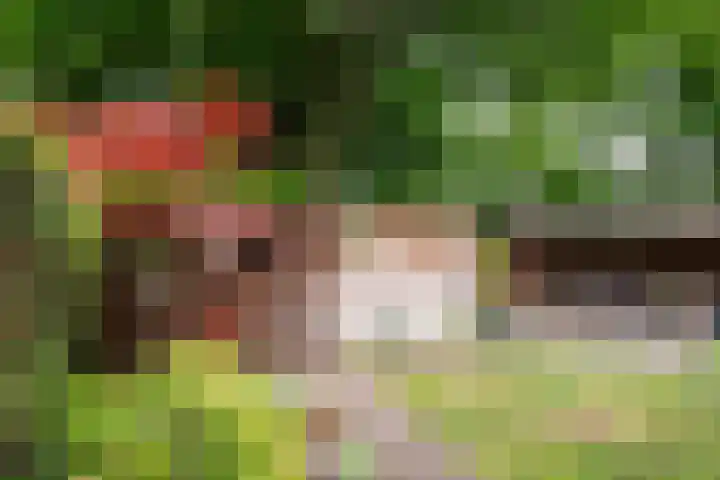 Hippocrateslaan 2 Bergen op Zoom thumbnail 37