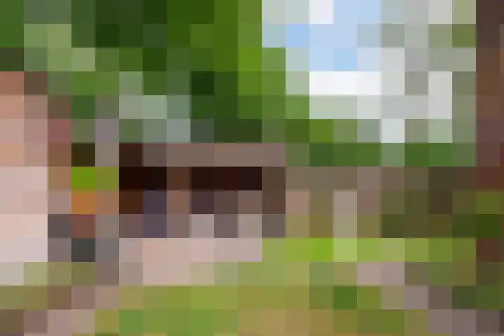 Hippocrateslaan 2 Bergen op Zoom thumbnail 38