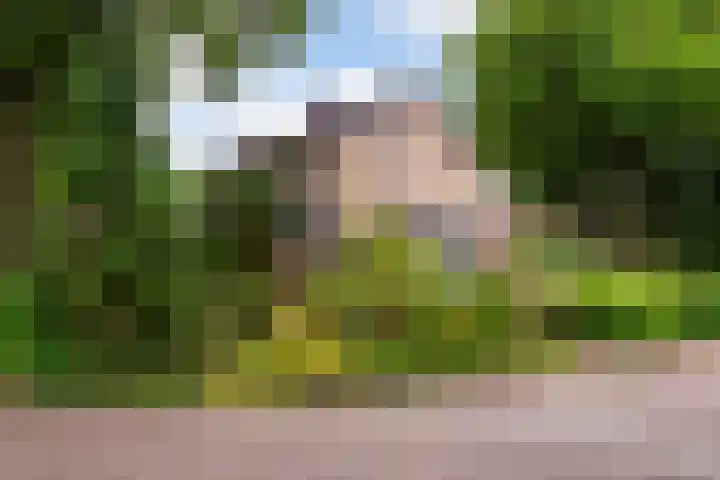 Hippocrateslaan 2 Bergen op Zoom thumbnail 41