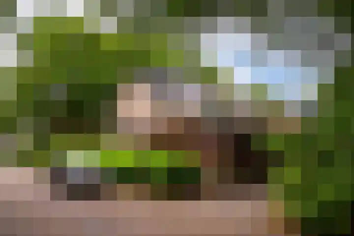 Hippocrateslaan 2 Bergen op Zoom thumbnail 42