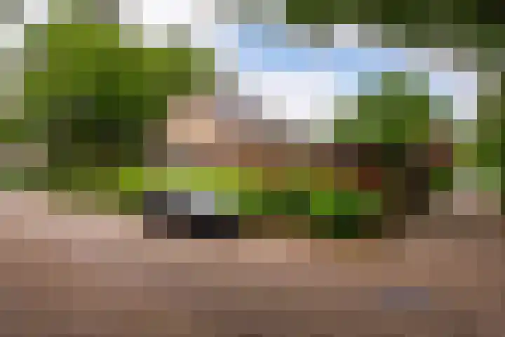 Hippocrateslaan 2 Bergen op Zoom thumbnail 43